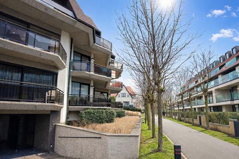 Studio A louer Duinbergen