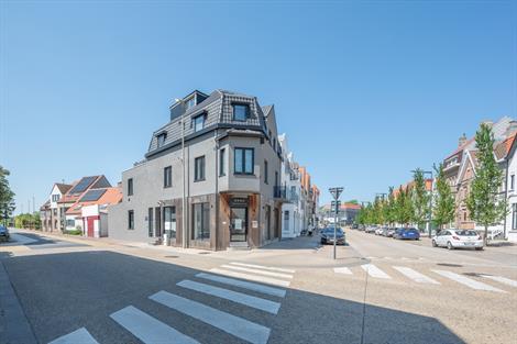 Handelspand Te koop Duinbergen